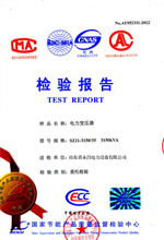 南阳电力变压器检测报告